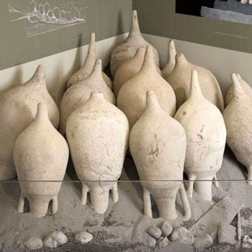 Foster for Archeology